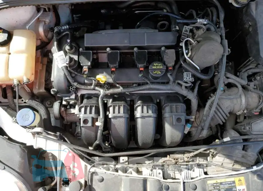 1FADP3F23EL258337 Photo# 7