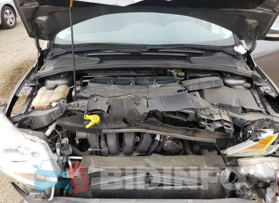 1FADP3F26EL245842 Photo# 7