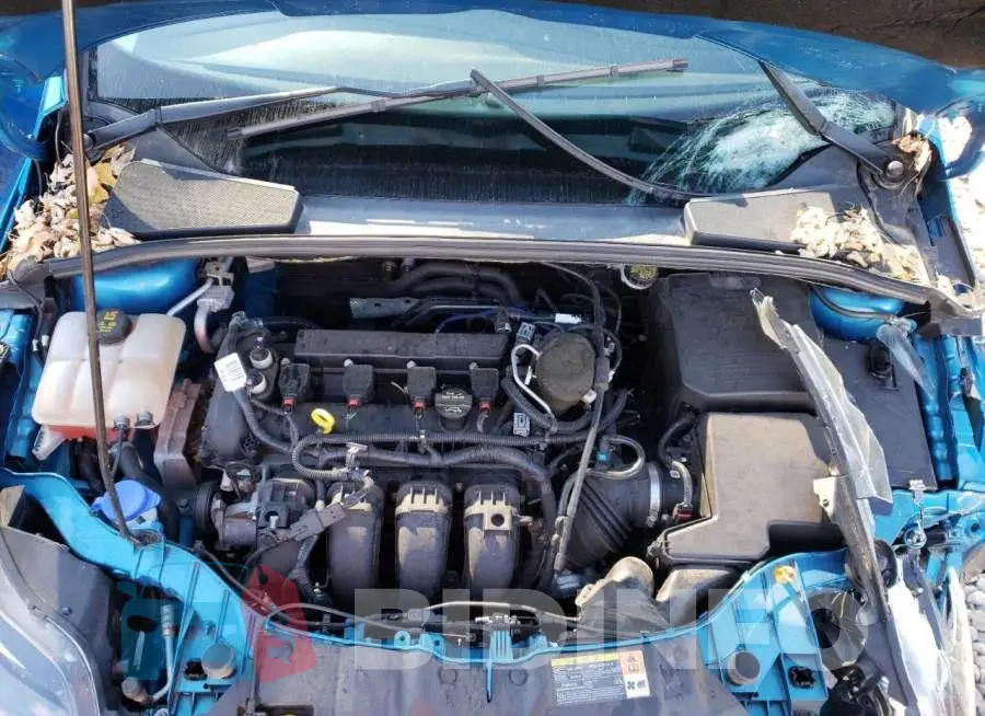 1FADP3N2XEL254545 Photo# 7