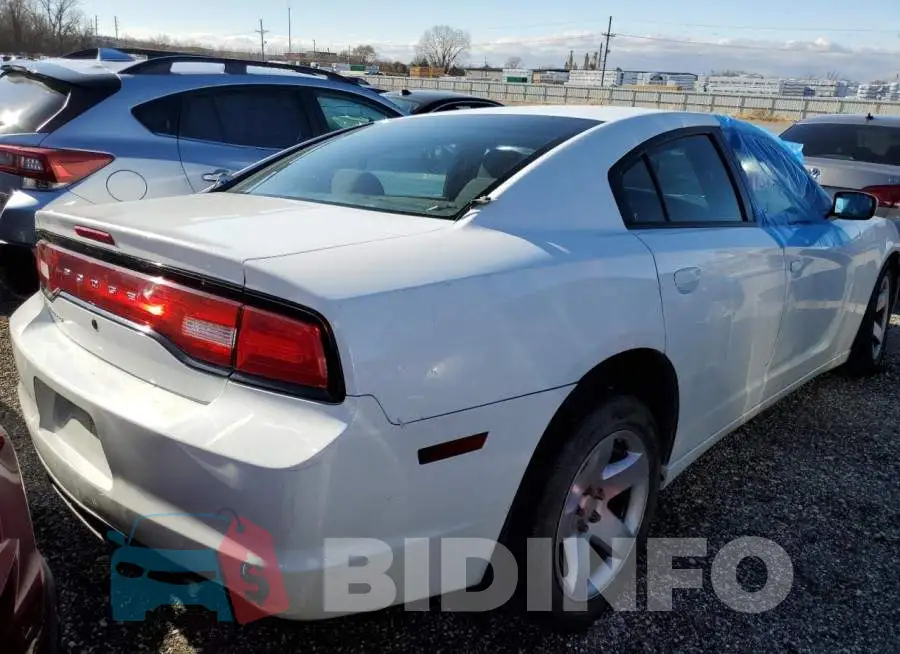 2C3CDXAT6EH279125 Photo# 4