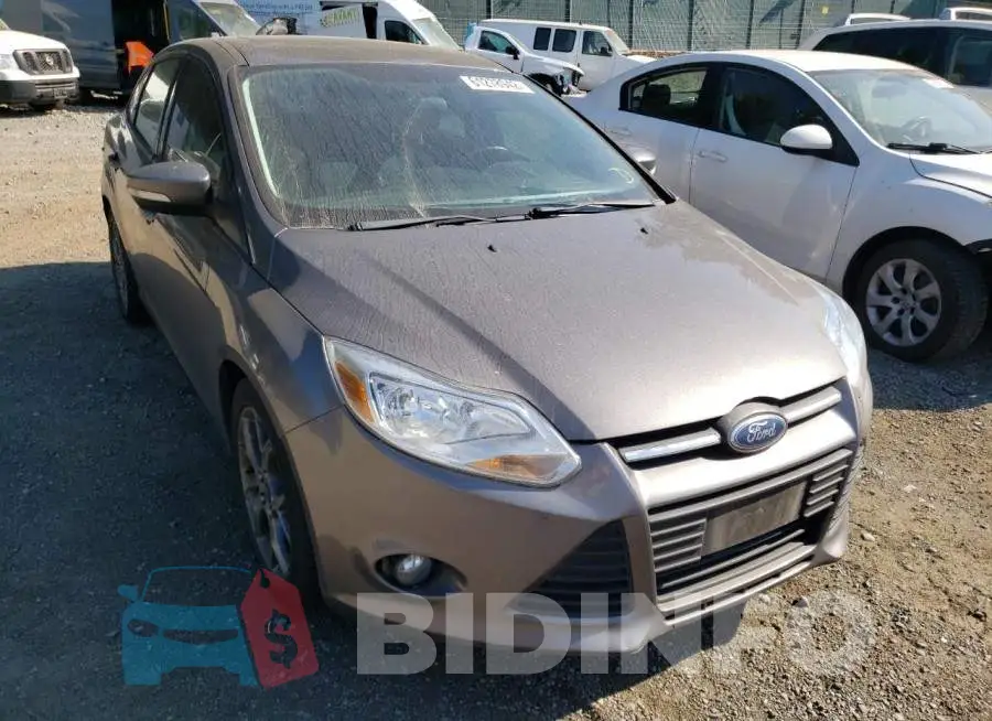 1FADP3F20DL342565 Photo# 1