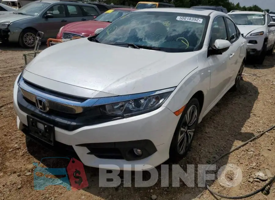 19XFC1F79HE026157 Photo# 2