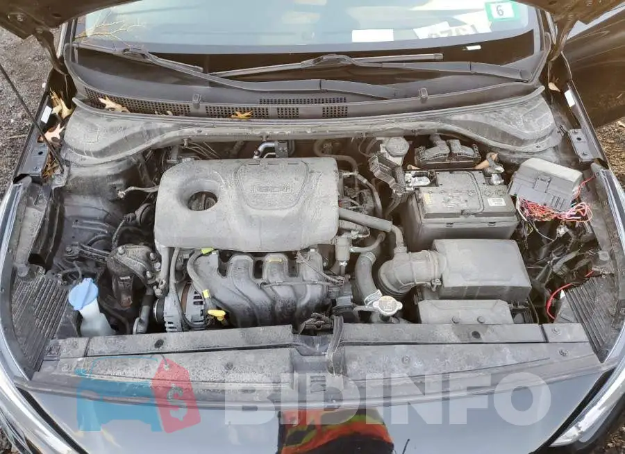 3KPC24A36KE041542 Photo# 11