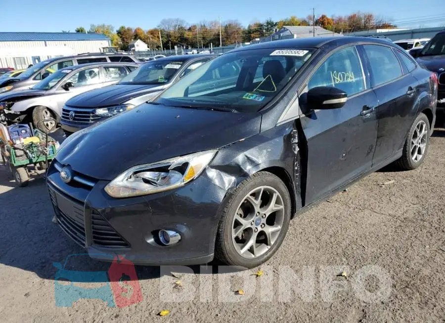 1FADP3F24DL206942 Photo# 2