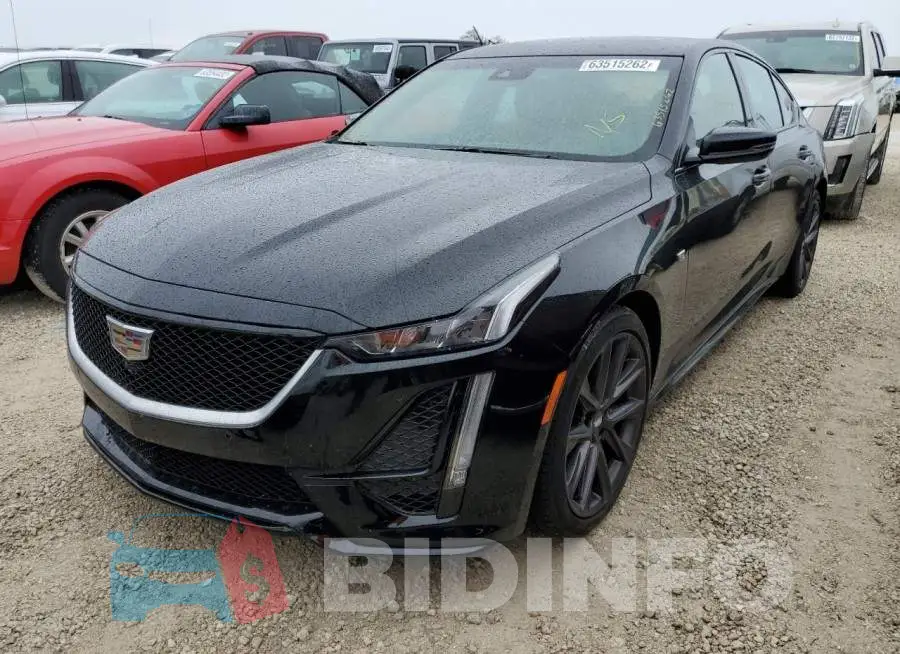 1G6DP5RK8L0133076 Photo# 2