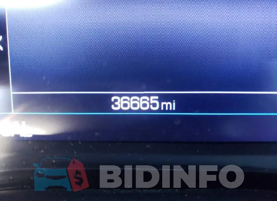 1G1FB3DS8L0109983 Photo# 8