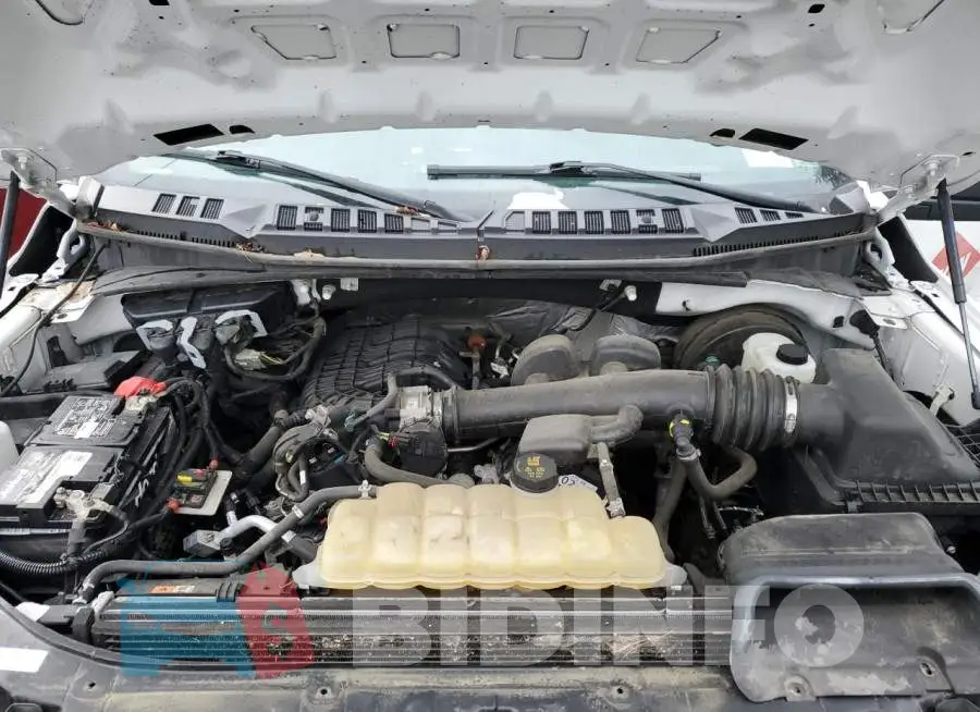 1FTMF1CB7KKC92076 Photo# 11