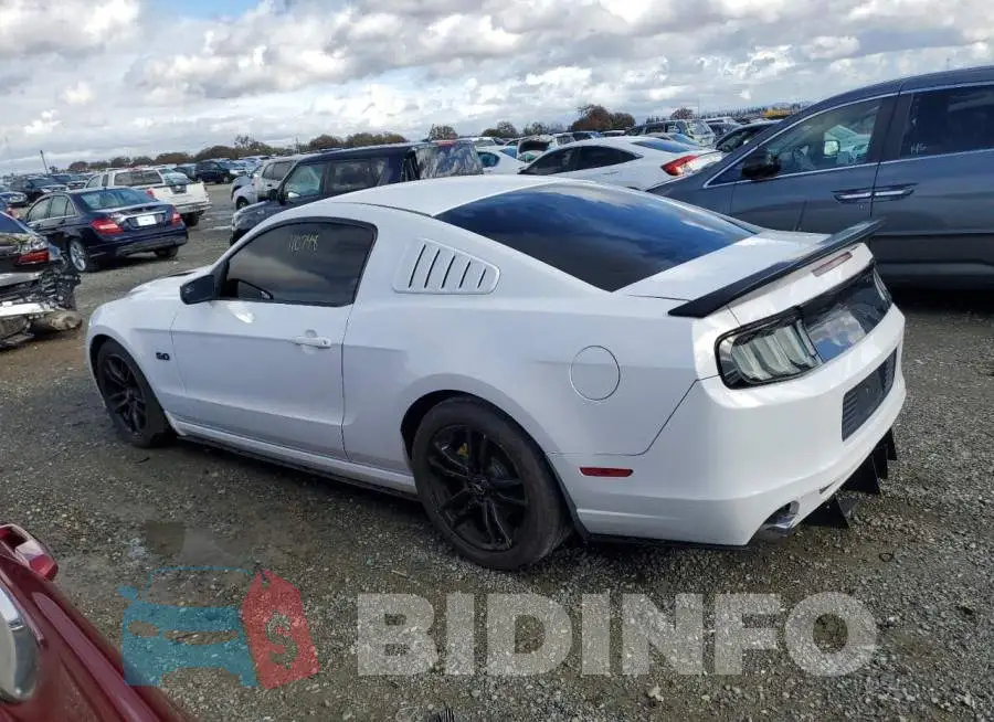 1ZVBP8CF7E5288917 Photo# 2