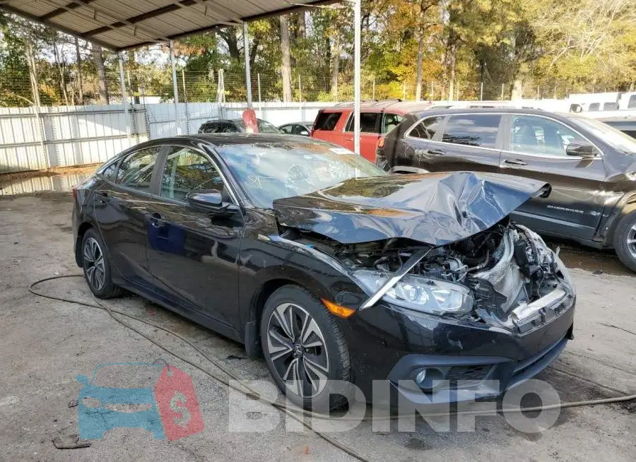 19XFC1F43GE033187 Photo# 1