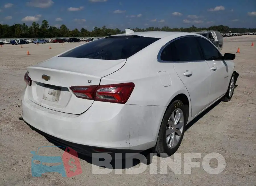 1G1ZD5ST1LF013169 Photo# 4