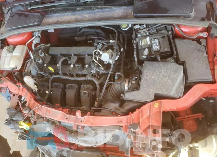 1FADP3F27GL354474 Photo# 7