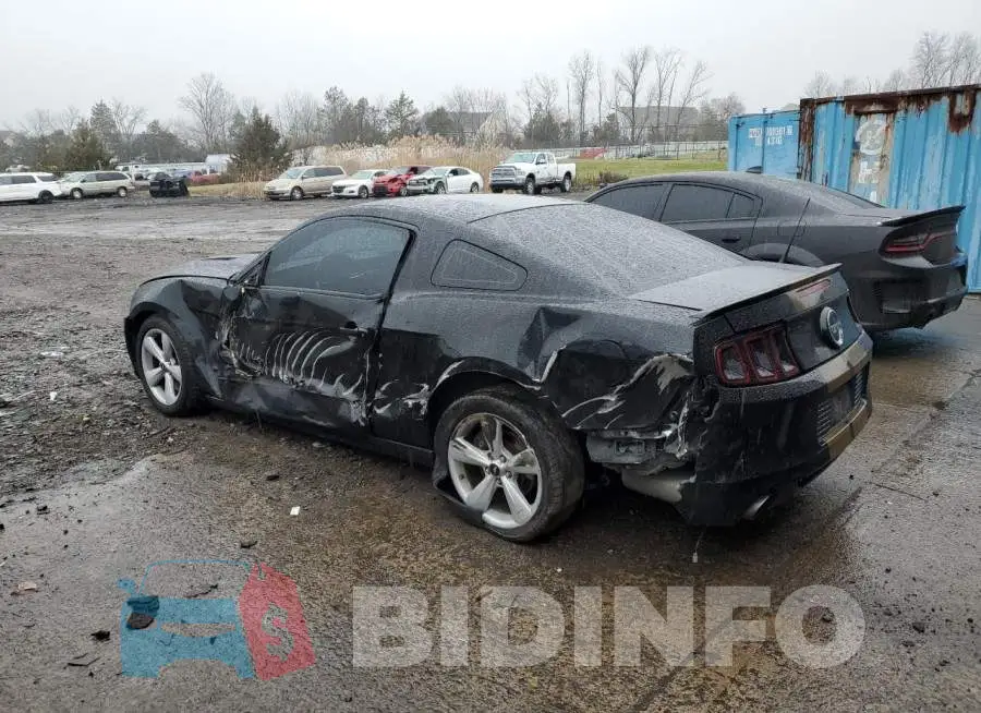 1ZVBP8CF8E5274492 Photo# 2