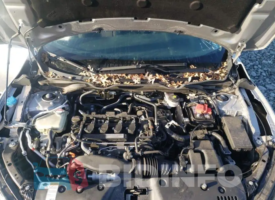 19XFC1F34LE203980 Photo# 7