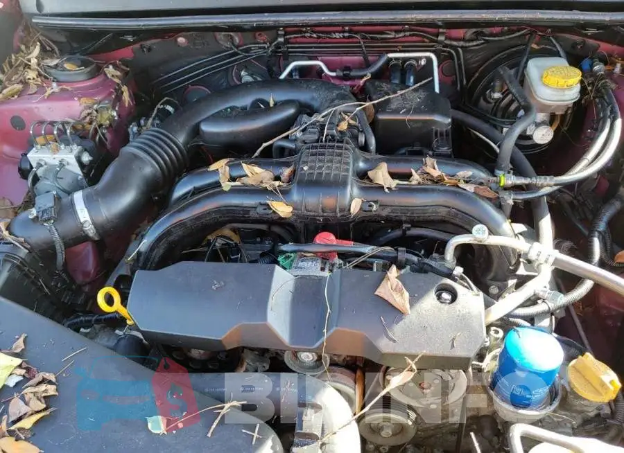 JF2GPAGC4DH865112 Photo# 7