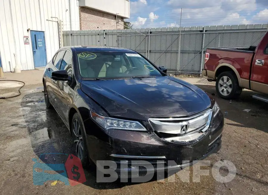 19UUB2F38FA005265 Photo# 1