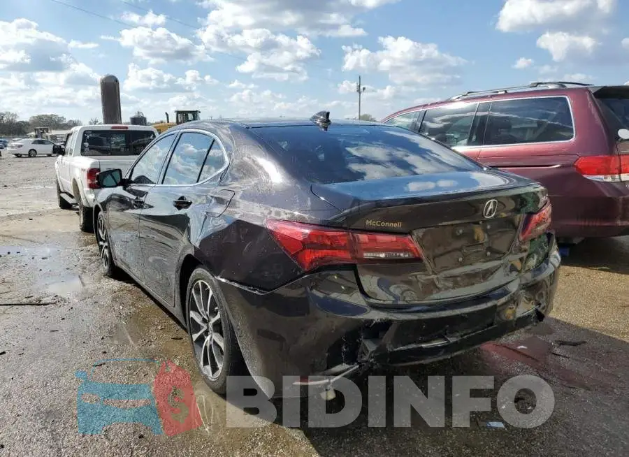 19UUB2F38FA005265 Photo# 3