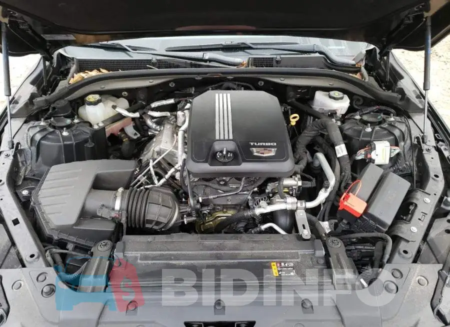 1G6DN5RK2L0128543 Photo# 11