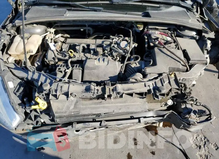 1FADP3F24GL343769 Photo# 6