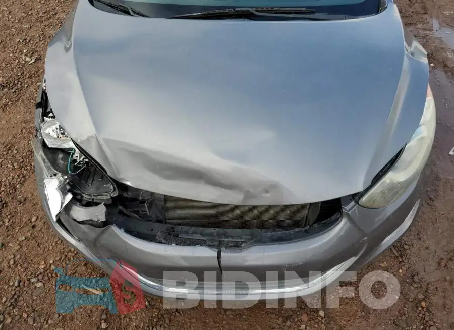 5NPDH4AEXDH159516 Photo# 11