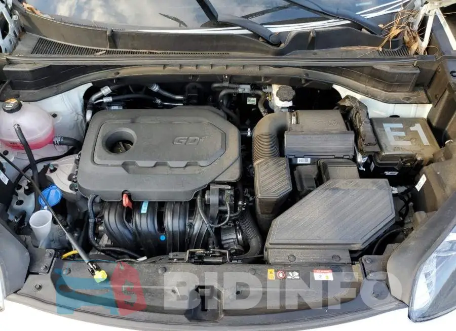 KNDPN3AC7M7896126 Photo# 7