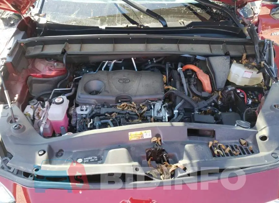5TDBBRCH6LS502117 Photo# 7