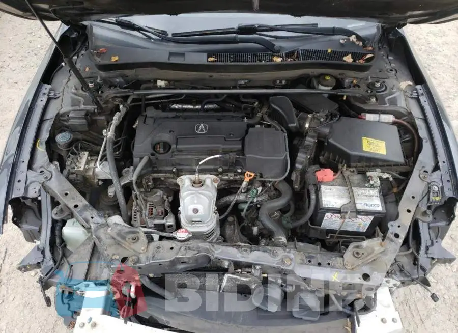 19UUB1F33FA005345 Photo# 7