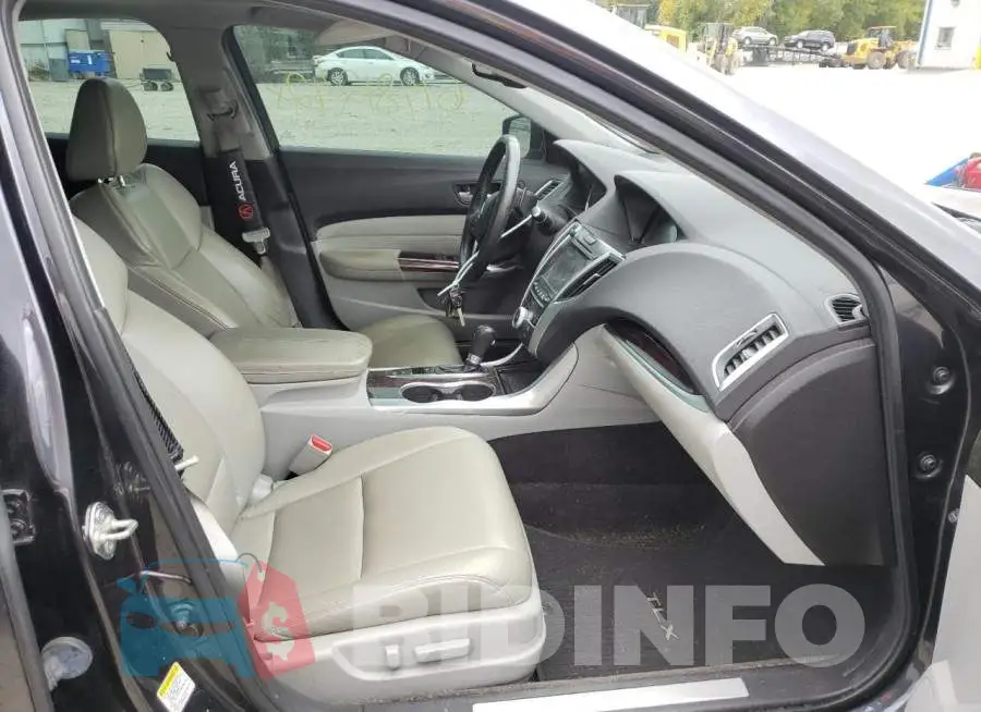 19UUB1F33FA005345 Photo# 5