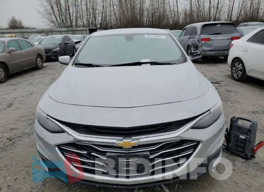 1G1ZD5ST5KF167981 Photo# 5
