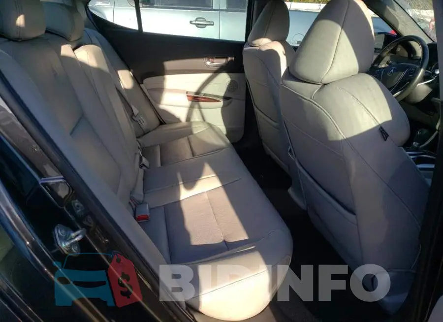 19UUB1F50FA010326 Photo# 6