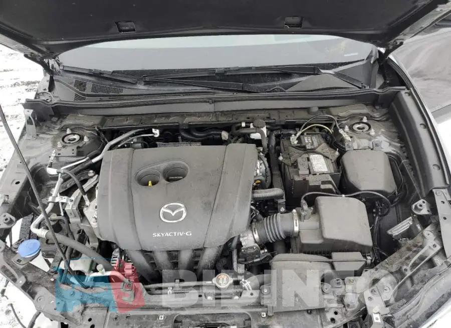 3MVDMBDL9MM252529 Photo# 11