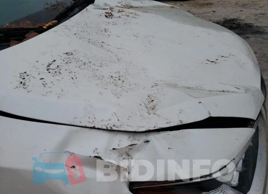 5FRYD3H29EB005994 Photo# 13