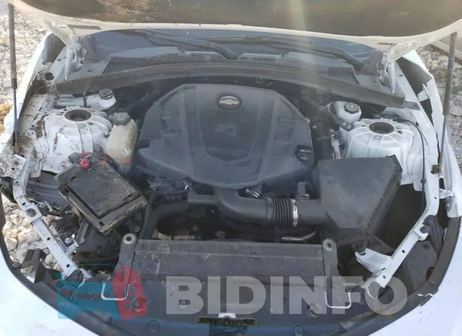 1G1FB1RS8M0106998 Photo# 7