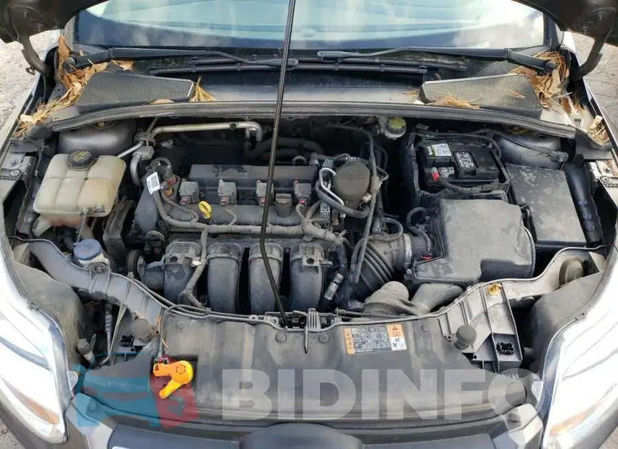 1FADP3F20EL458771 Photo# 11