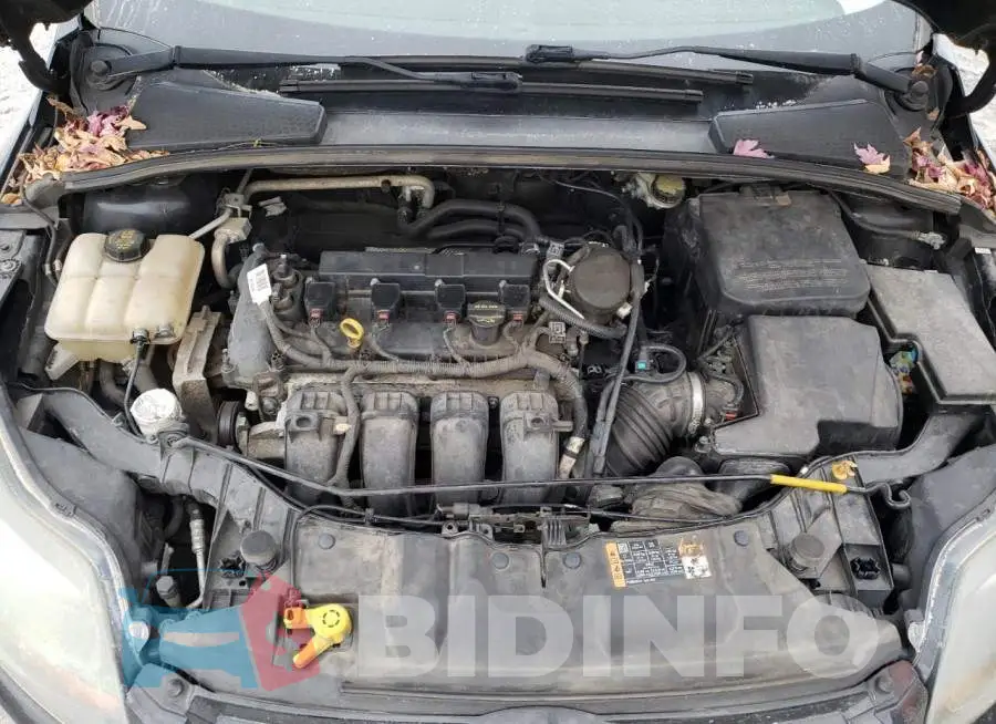 1FADP3N29EL268551 Photo# 7