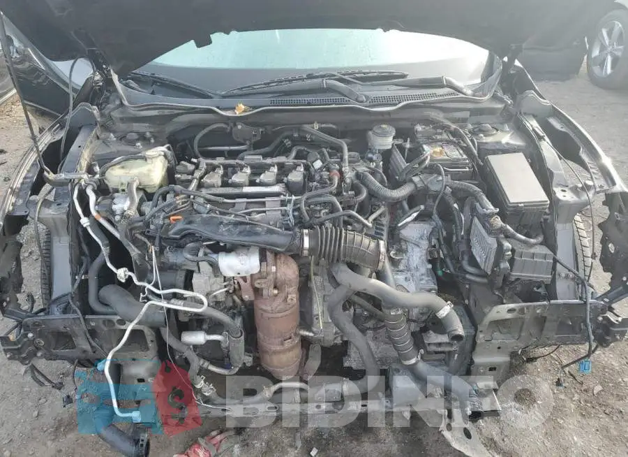 19XFC1F71GE216842 Photo# 7