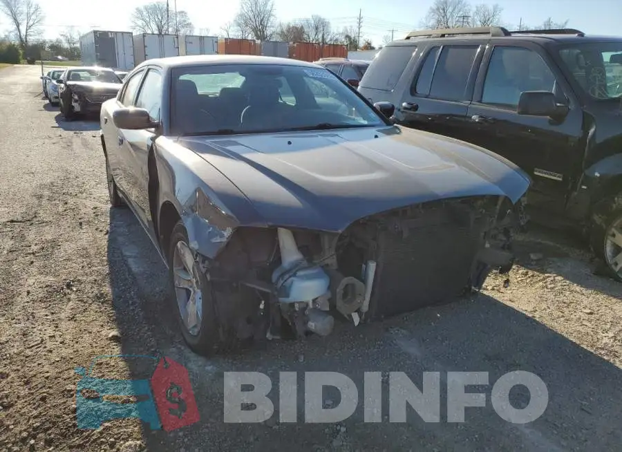 2C3CDXBG4DH638844 Photo# 9