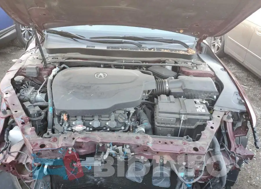 19UUB2F71FA017356 Photo# 7