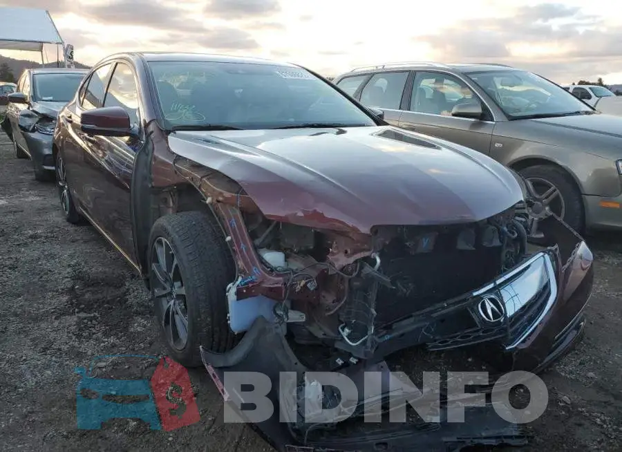 19UUB2F71FA017356 Photo# 1