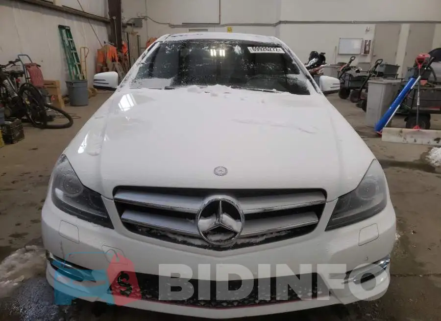WDDGJ8JB5DG155186 Photo# 5