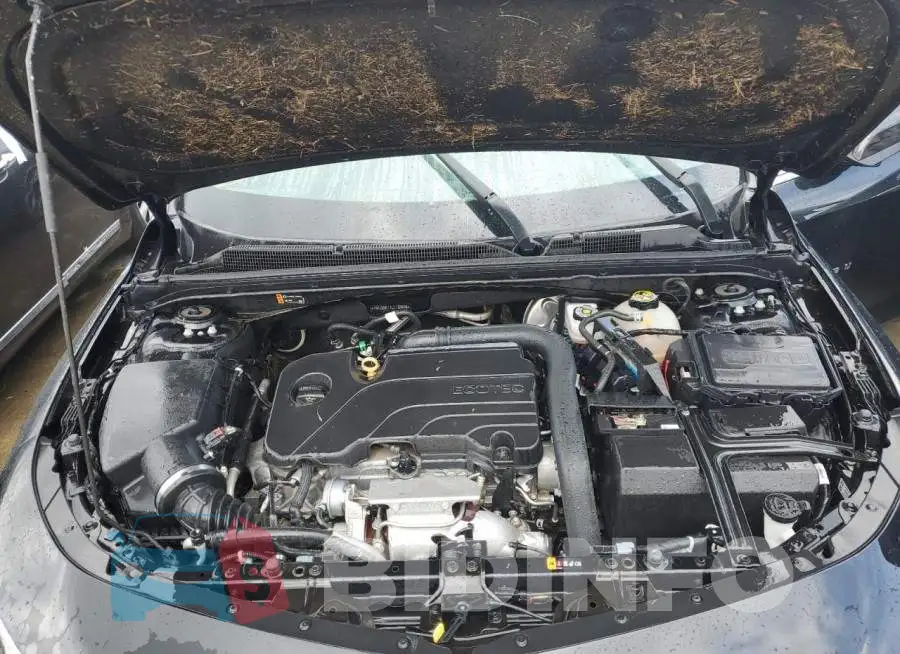 1G1ZD5ST7LF103636 Photo# 7