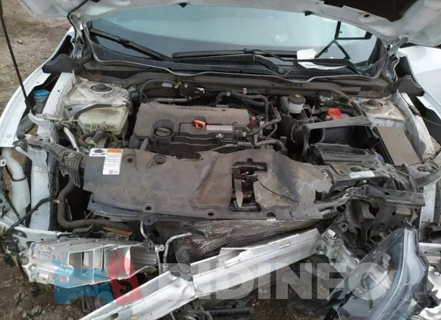 19XFC2F86KE205987 Photo# 7