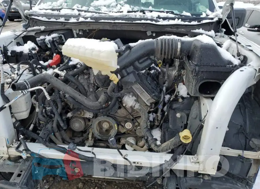 1FTFW1E50MKF00169 Photo# 11