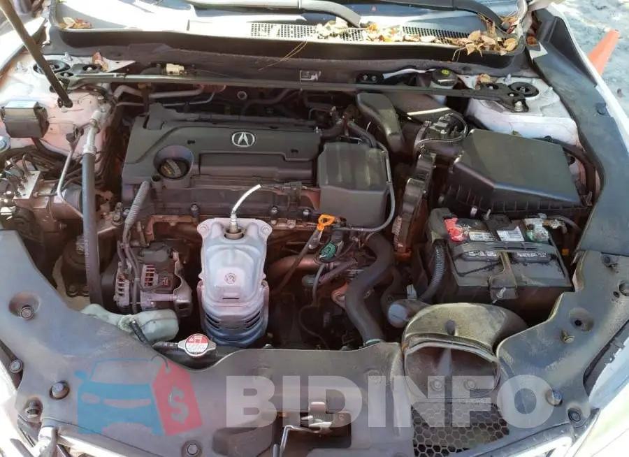 19UUB1F36FA018624 Photo# 7