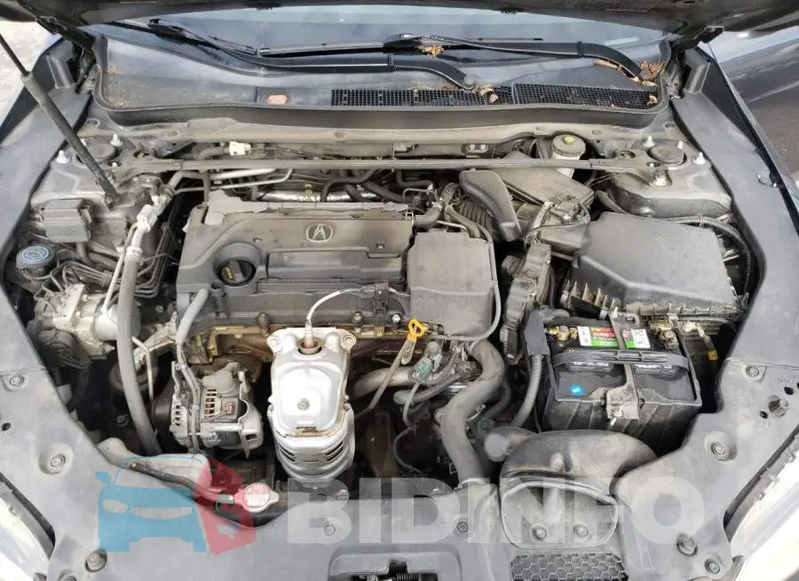 19UUB1F59FA018134 Photo# 11