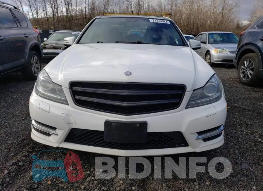 WDDGF8AB1DR250530 Photo# 5