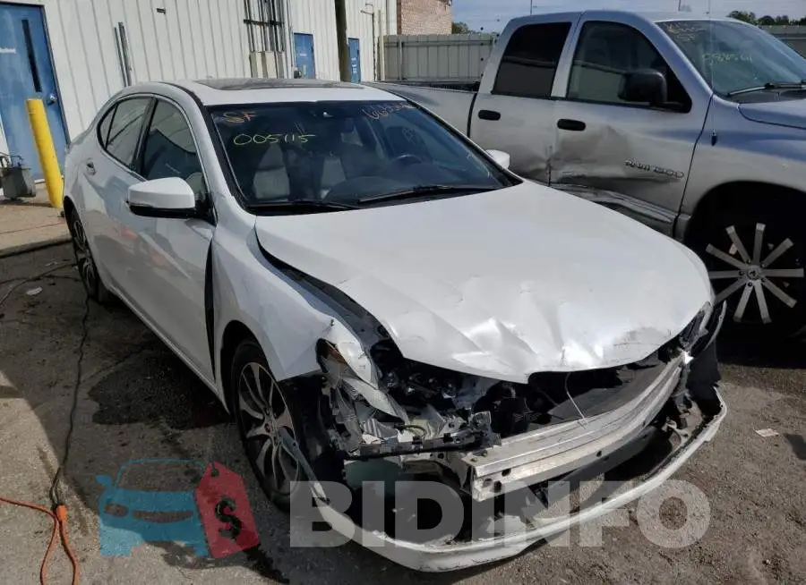 19UUB1F56FA005115 Photo# 1