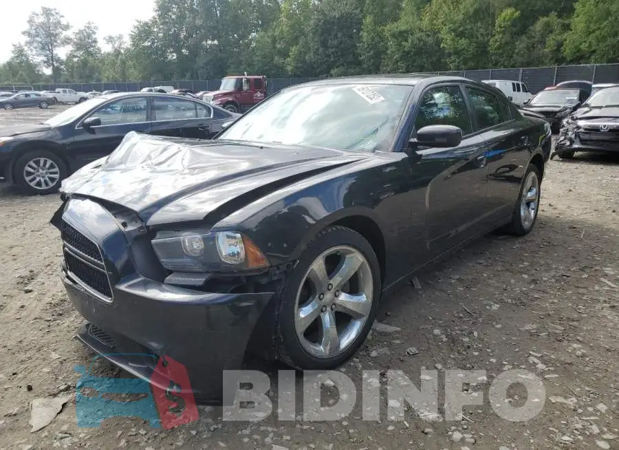 2C3CDXHG1DH742957 Photo# 2