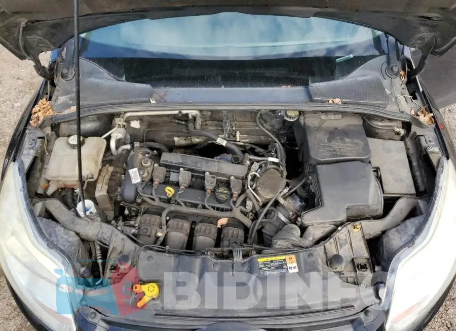 1FADP3E21DL353513 Photo# 11