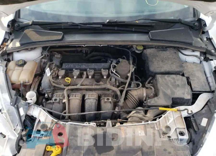 1FADP3F20GL239117 Photo# 11