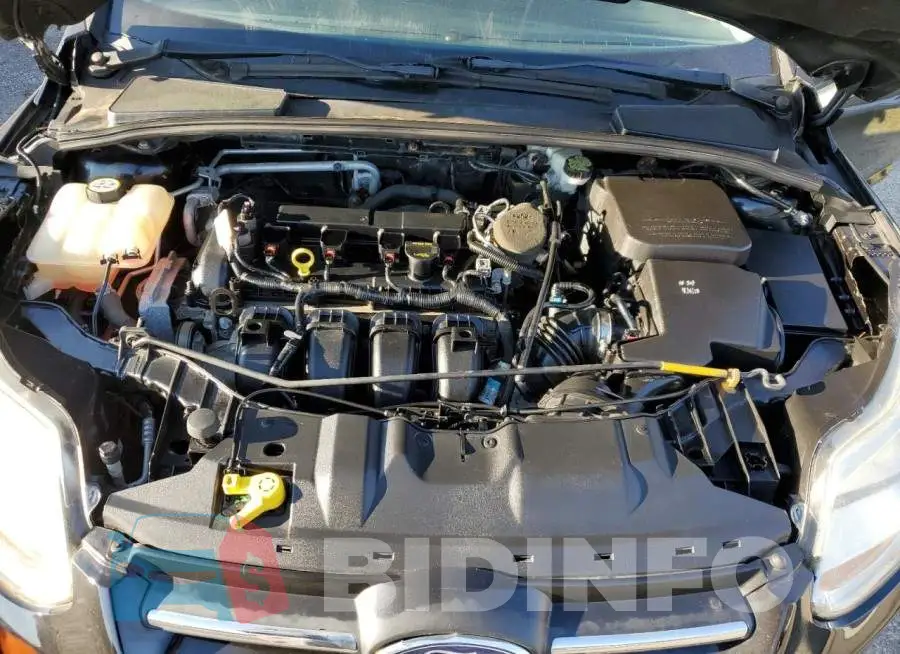 1FADP3F24DL312811 Photo# 11